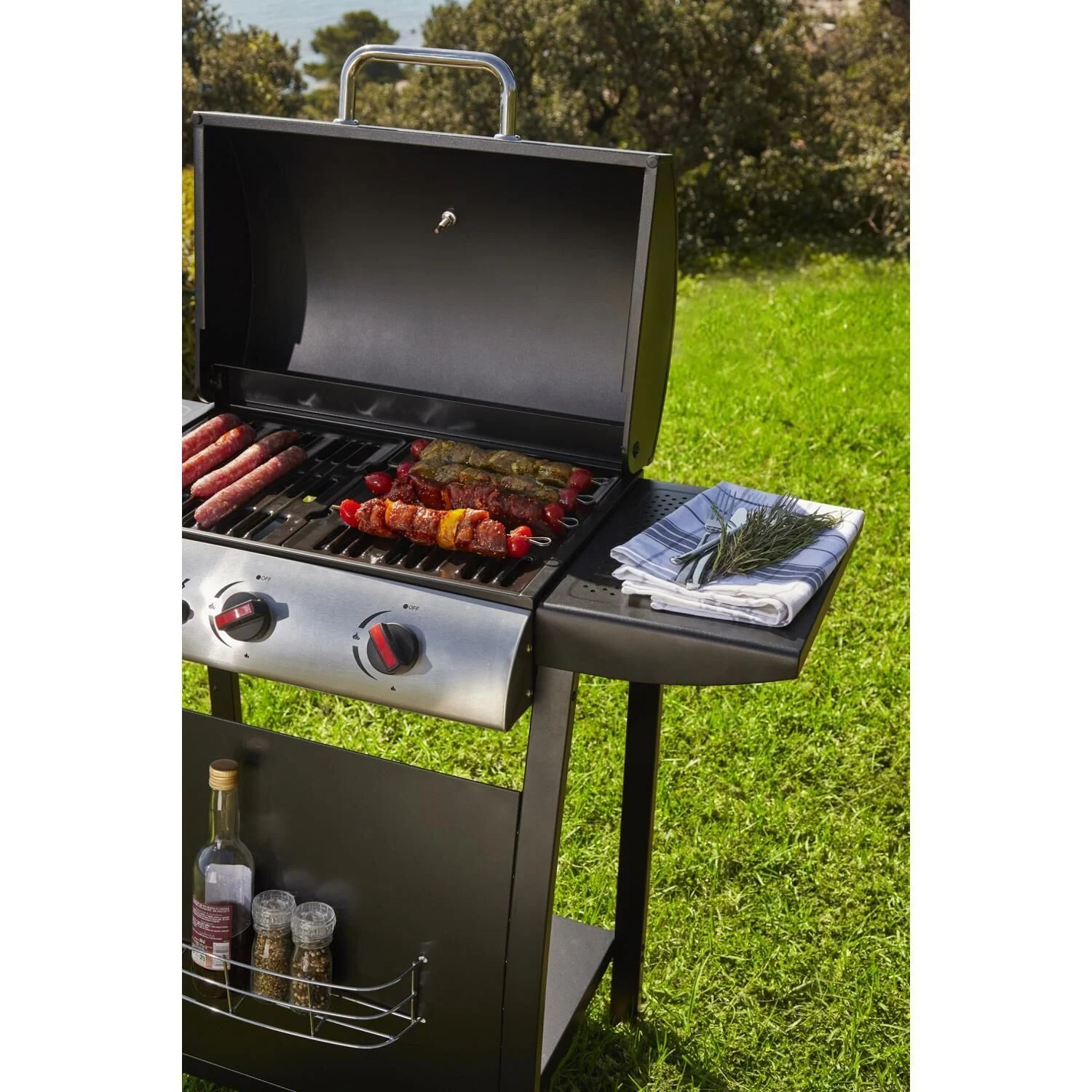 Barbecue à Gaz 3 feux sur Roues Seattle – Image 4