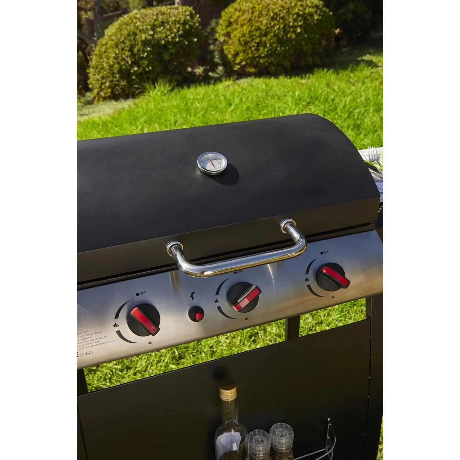 Barbecue à Gaz 3 feux sur Roues Seattle – Image 2