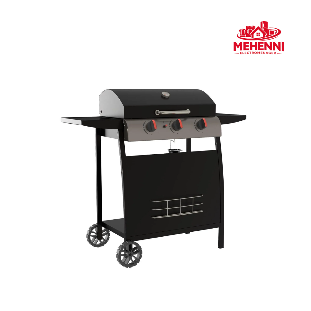 Barbecue à Gaz 3 feux sur Roues Seattle